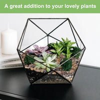 2.5 lbs Coarse Sand for Plants, Desert Silica Sand for Cactus - 2.5 Pounds / Colored - image 2