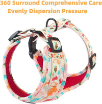 Dog Cat Harness and Leash Set - Dinosaur / XS (Neck 9"-11"; Chest 11"-13") - image 2