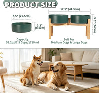 Elevated Ceramic Dog Bowl - Green / Large - image 2
