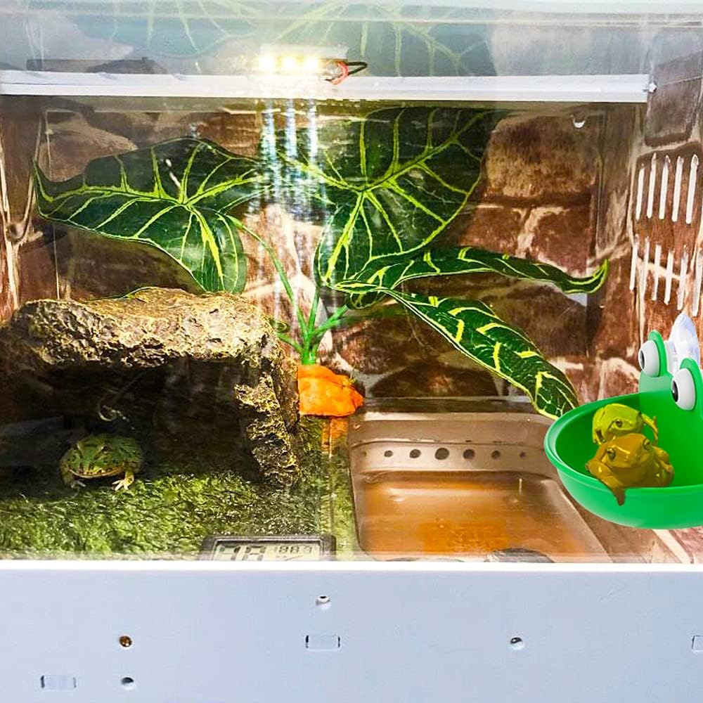 2 Pack Frog Suction Terrarium Hide for Tree Frogs Toads Tadpoles – Essentials for Fish - image 4