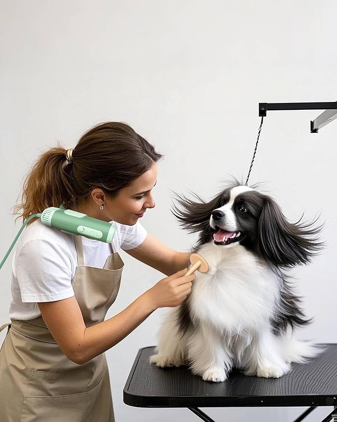 L&W BROS. Hands-Free Dog Dryer – Powerful & Professional Pet Blow Dryer for Small & Medium Dogs & Cats, Adjustable Airflow, Easy Storage, Negative Ion Technology (Green)