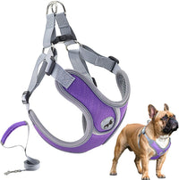 Dog Harness with Leash Set, No Pull Adjustable Step in Pet Vest – Essentials for Dogs - Purple / L