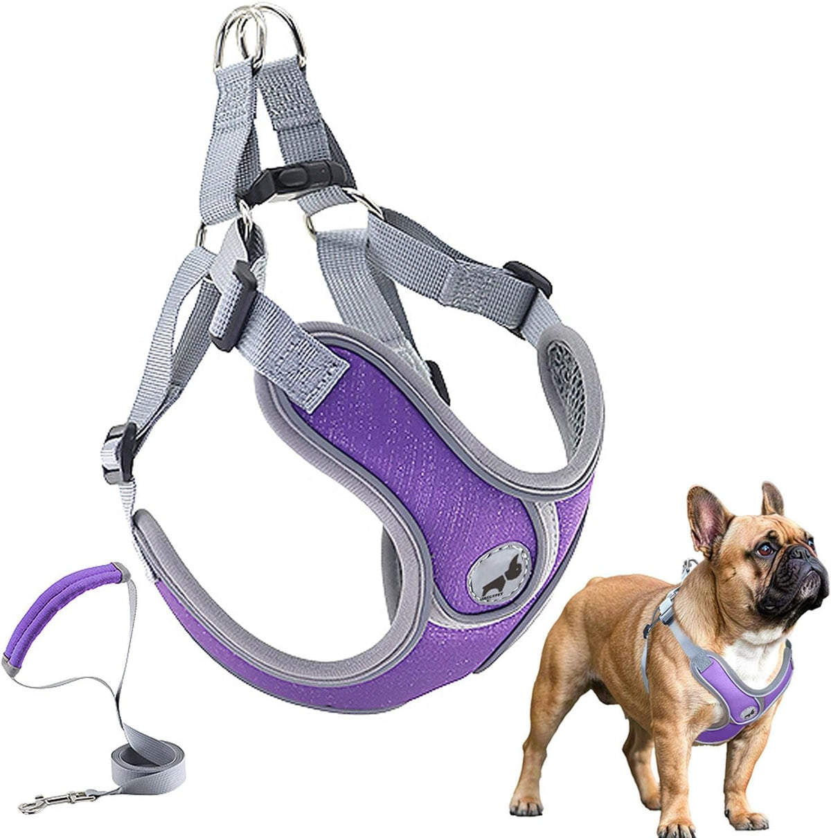 Dog Harness with Leash Set, No Pull Adjustable Step in Pet Vest – Essentials for Dogs - Purple / L