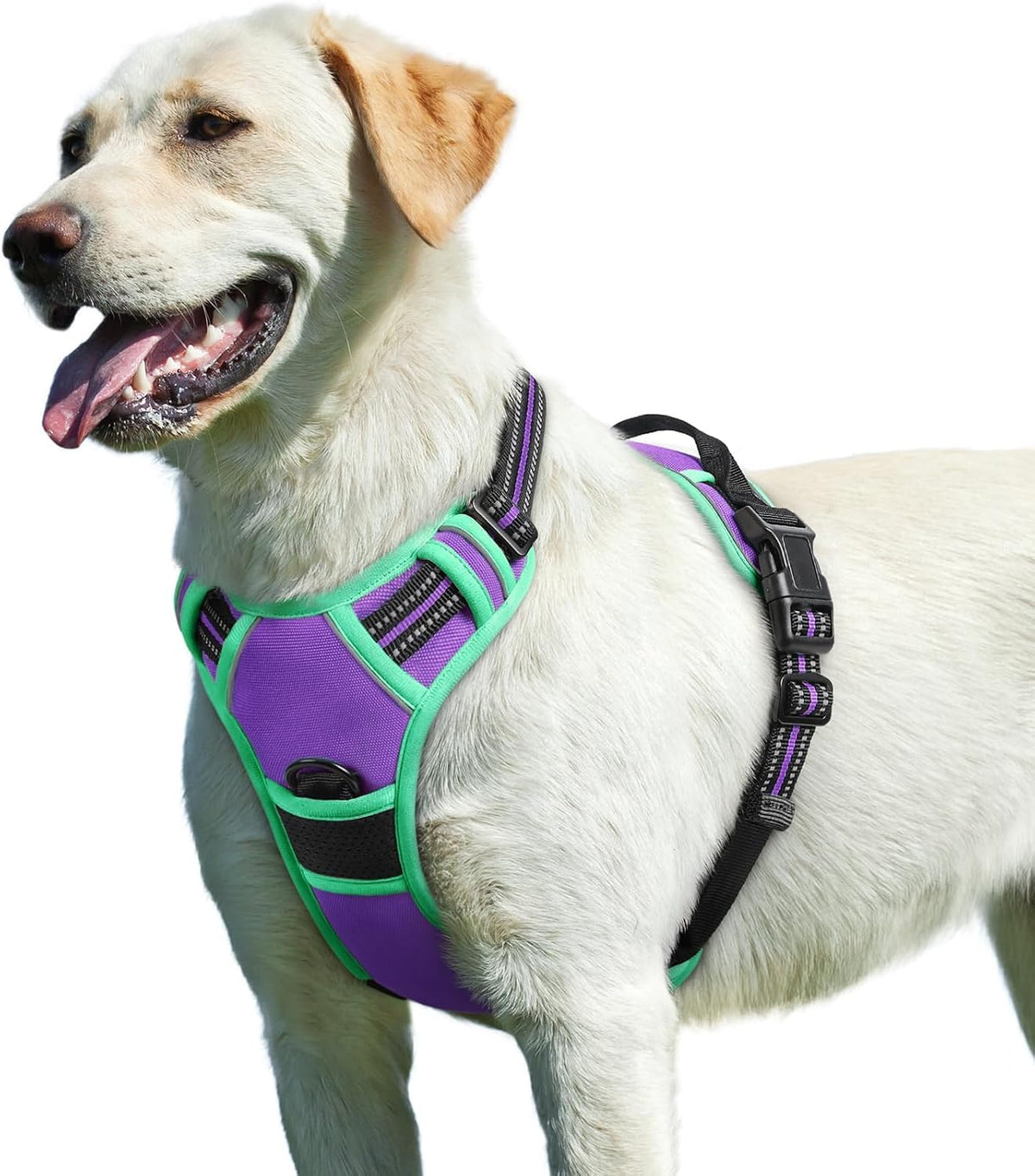 Eagloo Dog Harness for Large Dogs - Large / Purple & Turquoise