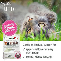 HomeoPet Feline UTI Plus, Safe and Natural Urinary Tract Medicine for Cats, Feline Urinary Tract Support, 15 Milliliters - Pack of 2