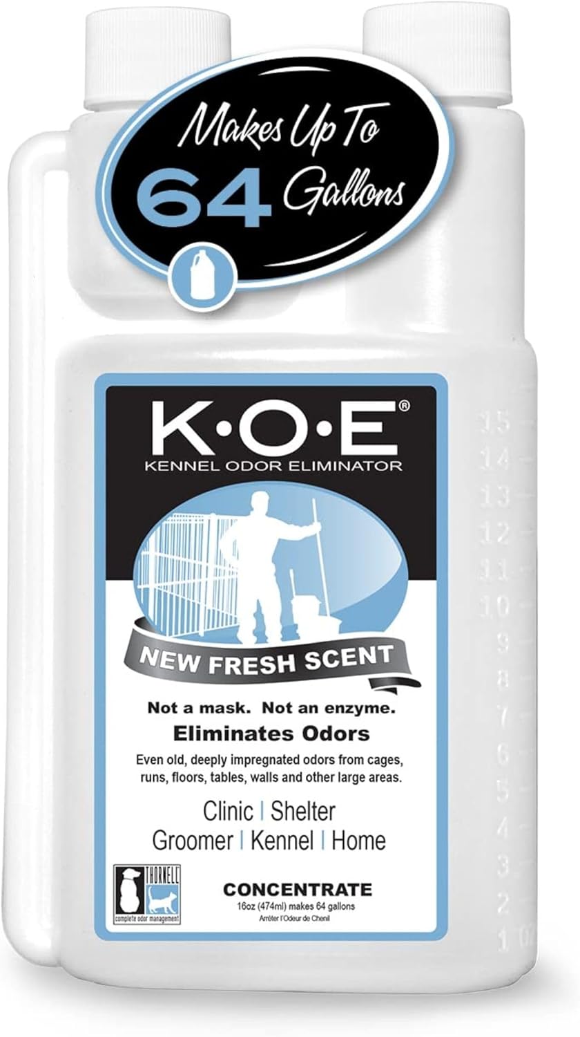Odorcide KOE Fresh Scent Concentrate - Fresh Scent / 16 Fl Oz (Pack of 1)