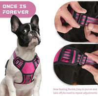 No Pull Dog Harness for Medium Dogs - Rose Red / L - image 4