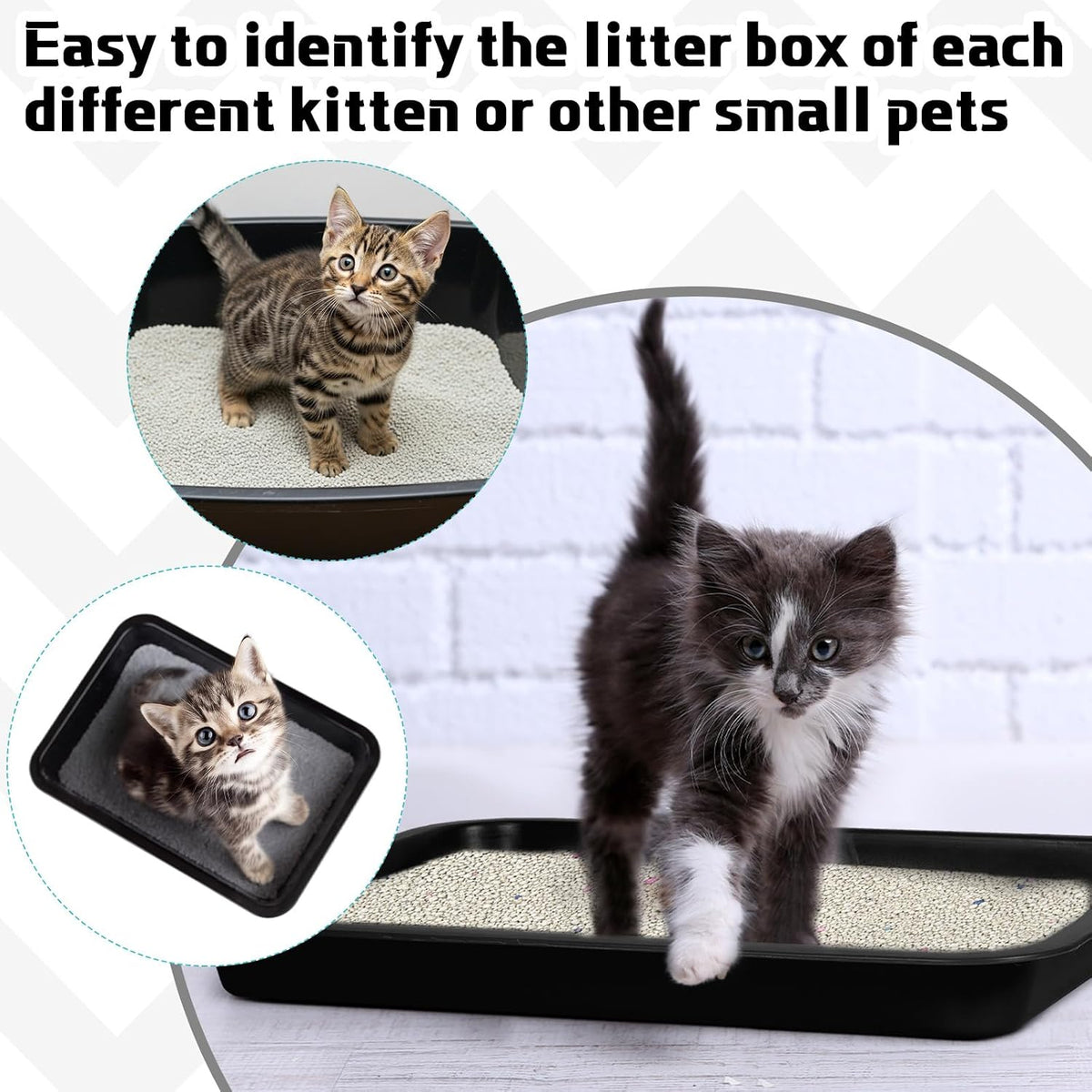 Tessco 3 black plastic kitten litter pans, 15.1 by 12 inches, low entry - view 4
