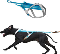 Non-stop Dogwear Freemotion 5.0 Dog Pulling Harness, Blue/Gray - 9 / Blue / Gray