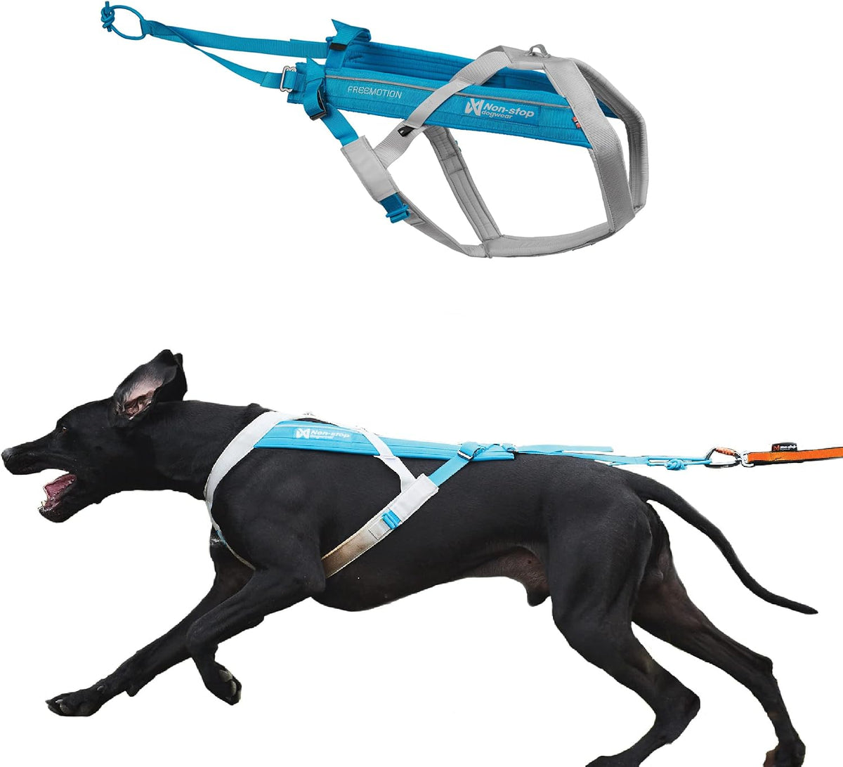 Non-stop Dogwear Freemotion 5.0 Dog Pulling Harness, Blue/Gray - 9 / Blue / Gray