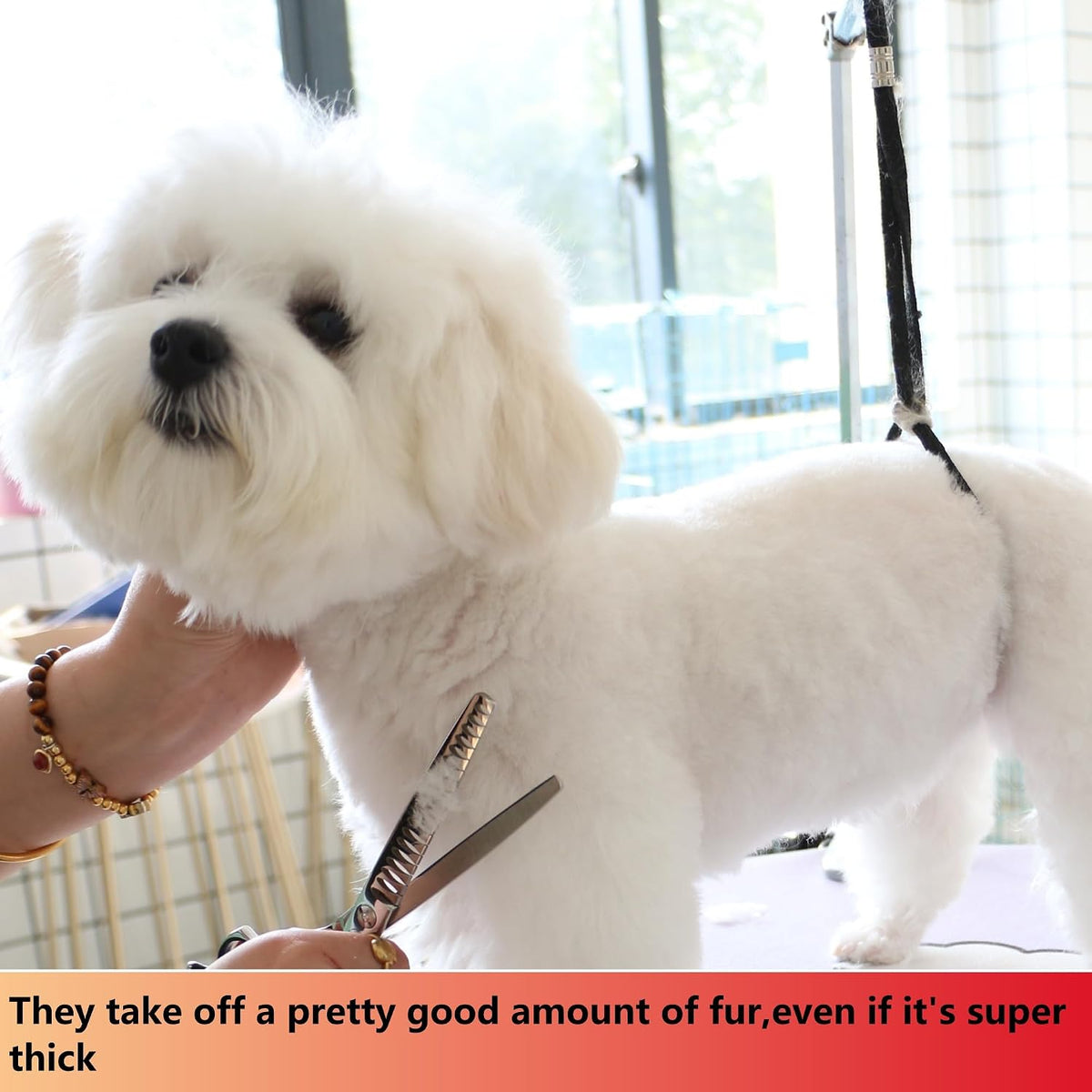 Curved Dog Grooming Scissors, Trimming Face and Paws. - Chunker / 7.0" - image 4