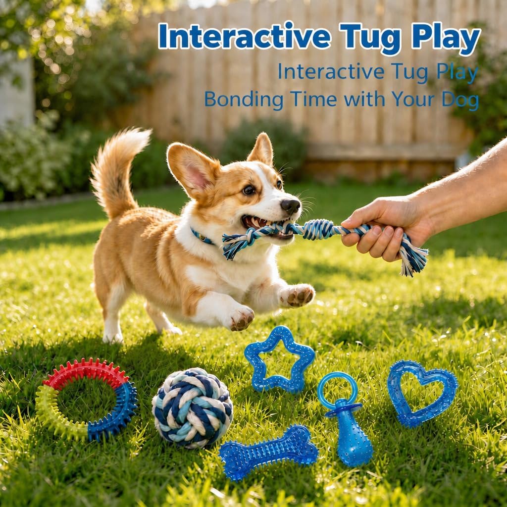 20 Pack Luxury Puppy Teething Chew Toys for Small Dogs and Puppies – Essentials for Dogs - Blue - image 3
