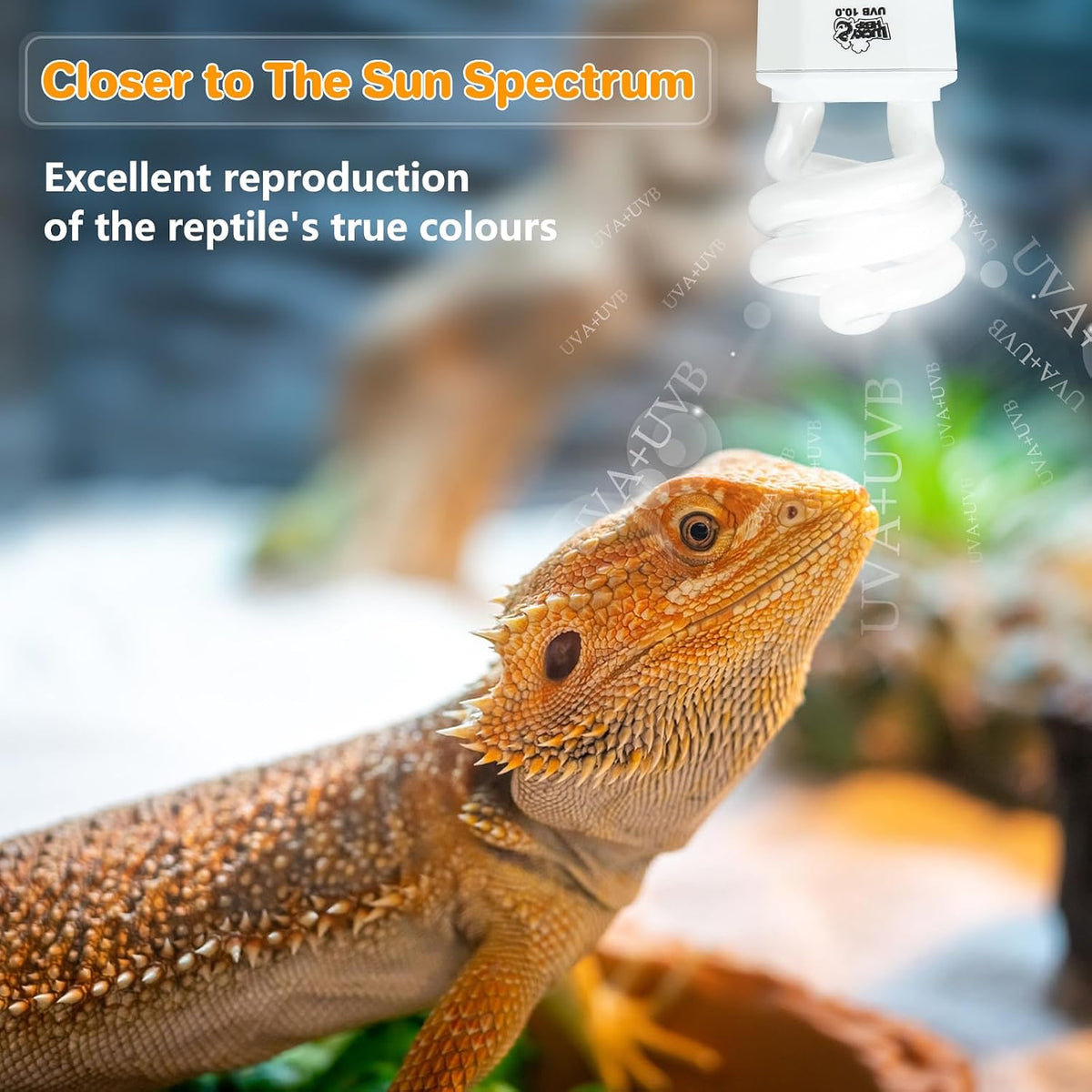 LUCKY HERP UVA UVB Reptile Light 10.0 - UVB10.0 15W - image 2