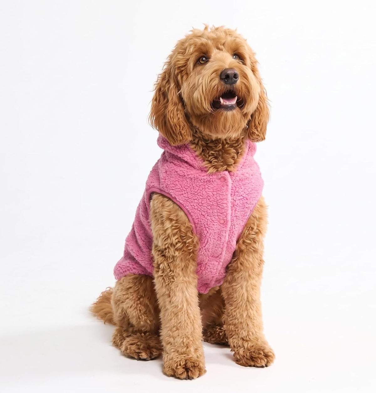 Spark Paws Fleece Dog Hoodie - Dark Pink / 3XL