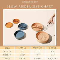 The Slowdown Bowl Silicone Slow Feeder for Cats & Dogs, Slow Eating Mealtime Solution with Modern Lick Mat Design, Reduces Gulping, Fits 1 Cup 6” Across x 1.25” Tall, Small-Charcoal