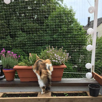 Cat Balcony Net Cat Anti-Fall Fence Net Dog Fence Nets Transparent - 10 x 20 ft - image 4