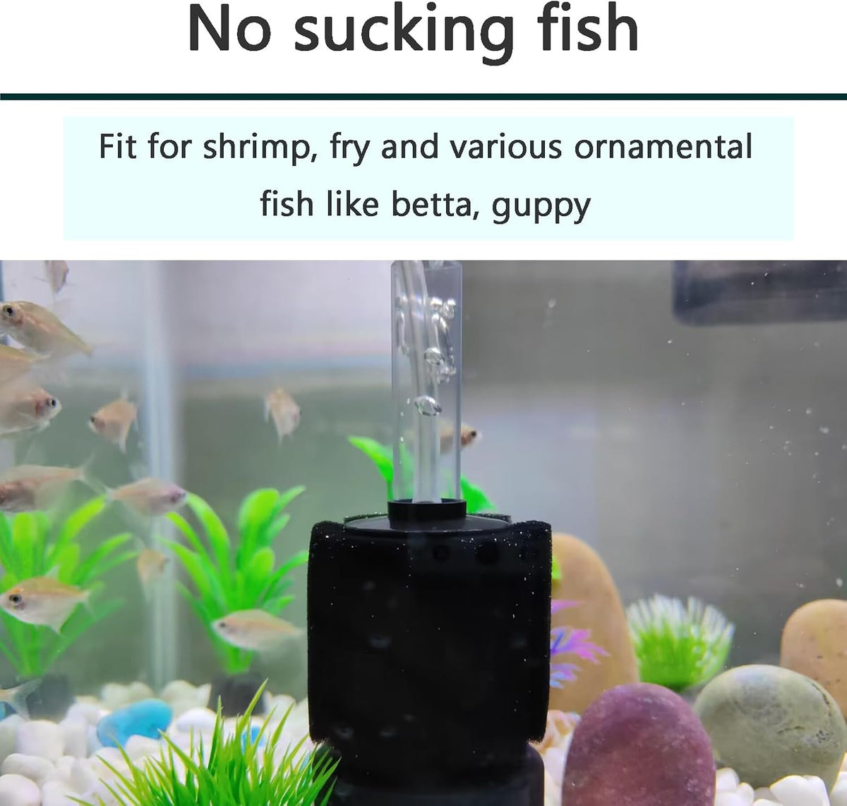 AQUANEAT 3 Pack Aquarium Bio Sponge Filter Breeding Fry Betta Shrimp - Small up to 10Gal - image 3