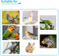 Parrot Feeding Dish Cups,Stainless Steel Bird Food Water Bowl Parakeet Feeder Birds Cage Ball Toys - 【2 PCS】 / 【M:4.7x2.2 Inches】 - image 4
