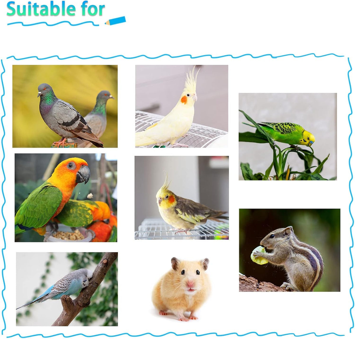 Parrot Feeding Dish Cups,Stainless Steel Bird Food Water Bowl Parakeet Feeder Birds Cage Ball Toys - 【2 PCS】 / 【M:4.7x2.2 Inches】 - image 4