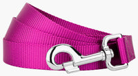 Country Brook Petz, Everyday Nylon Dog Leash - Fuchsia / 6 Foot X 1 Inch Wide (Pack of 1) - image 3