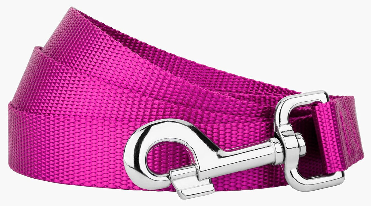 Country Brook Petz, Everyday Nylon Dog Leash - Fuchsia / 6 Foot X 1 Inch Wide (Pack of 1) - image 3