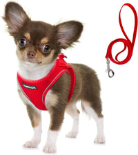 Fida Cat Harness and Leash Set for Walking Kitten and Puppy - S (Neck:12.6"-13.8"; Girth:16.1"-17.7") / Fiery Red
