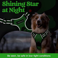 rabbitgoo Dog Harness Medium Sized, No Pull Dog Vest with 3 Buckles, Adjustable Soft Padded Pet Harness with Easy Control Handle and Reflective Strips, Green, M