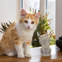 Cat Angel Memorial Figurine, Gray - Natural-love My Cat (Gray) - image 3
