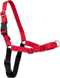 PetSafe Easy Walk Harness, No Pull Dog Harness, Royal Blue - Red/Black / Small/Medium / 1