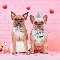 SCENEREAL Dog Wedding Outfit Dress with Bandana Bowite Collar and Crown Hat Set for Dog Girls, Puppy Kitty Party Supplies, Tutu Skirt Costume for Small Medium Large Dogs Girl Cats