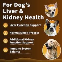 (2 Pack) Poppaw Milk Thistle for Dogs – 9-in-1 Liver & Kidney Support with Artichoke, Resveratrol, Marigold Extract, 100% Natural Detox Herbal Supplement, Chicken Flavor, 2 Oz