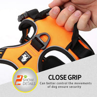 Truelove No Pull Dog Harness with Easy Control Handle and 2 Leash - X-Small / Orange - image 4