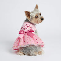 Fitwarm Birthday Girl Dog Tulle Dress - Small / Birthday Girl - image 3