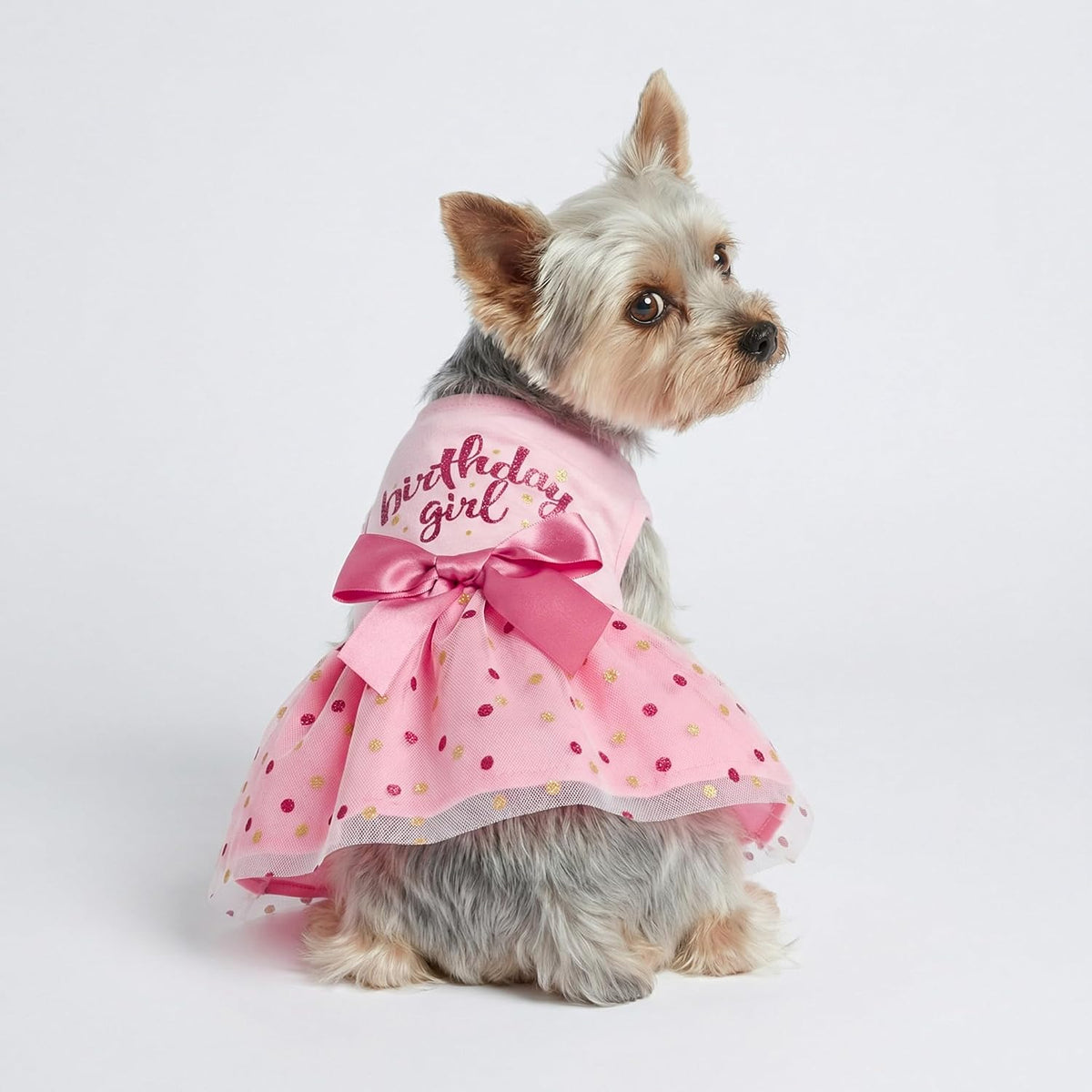 Fitwarm Birthday Girl Dog Tulle Dress - Small / Birthday Girl - image 3