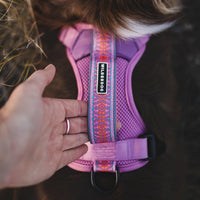 Wilderdog Lightweight Dog Harness with Reflective Straps - Lilac / Medium - image 2
