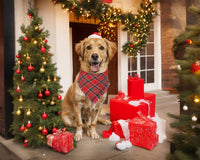 2PCS Christmas Dog Bandanas – Red and Green Plaid with Tassels - BIG FRENCHIES