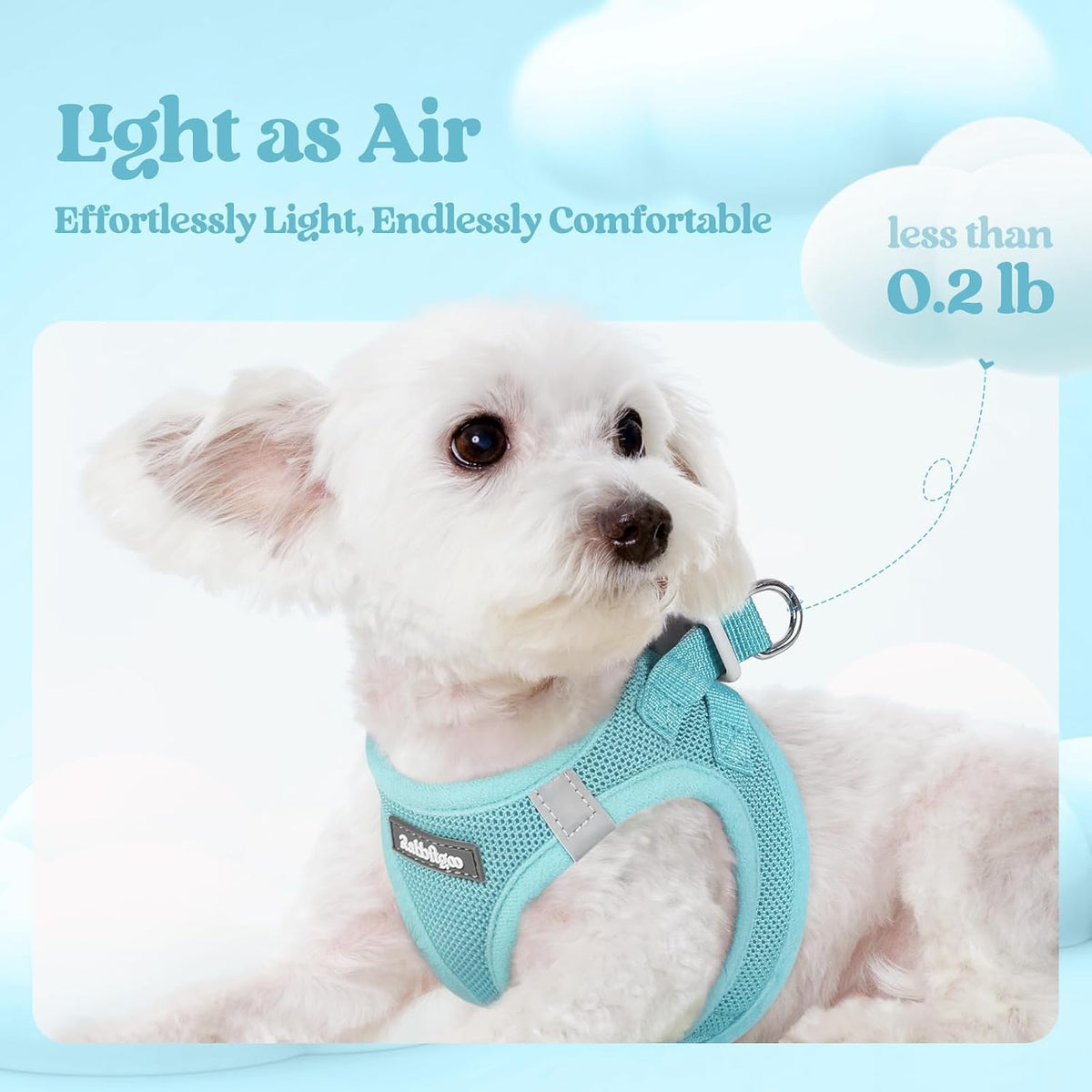 rabbitgoo Dog Harness Small Sized and Leash Set - Mint Blue / M (chest: 16 - 18.5") - image 4