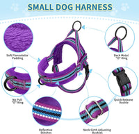 SlowTon No Pull Small Dog Harness and Leash Set with Front Clip – Essentials for Dogs - Small / Purple - image 4