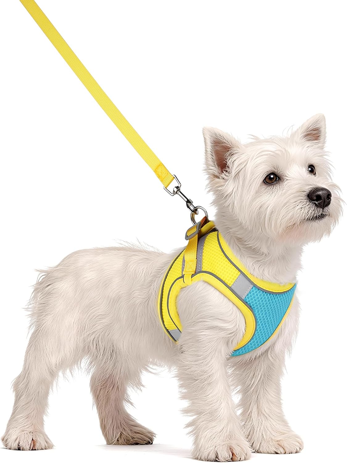 Solmoony Dog Harness, No Pull, Mesh for Small Medium Dogs - Blue Yellow / S - image 2