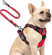 Joytale No Pull Dog Harness & Seat Belt, Easy On 3-Buckle, L - Red / Small