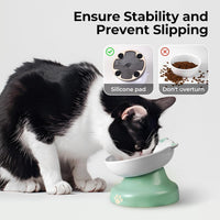 Y YHY Ceramic Cat Slow Feeder - Green / 6 inches - image 4