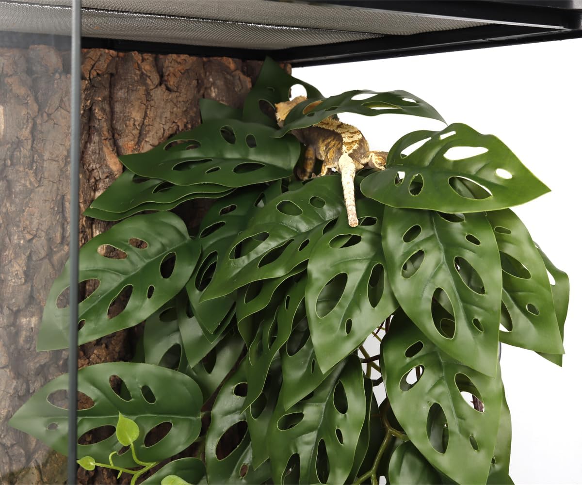 2Pack Reptile Plants for Terrarium - B-fake Swiss Cheese Plants Monstera Adansonii - image 4