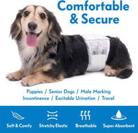 Paw Inspired Select Fit Male Dog Wraps, Wetness Indicator - Medium - image 2