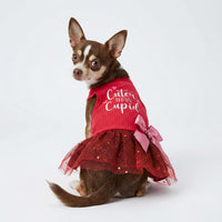 Fitwarm Halloween Skeleton Dog Dress - Large / Red - image 3