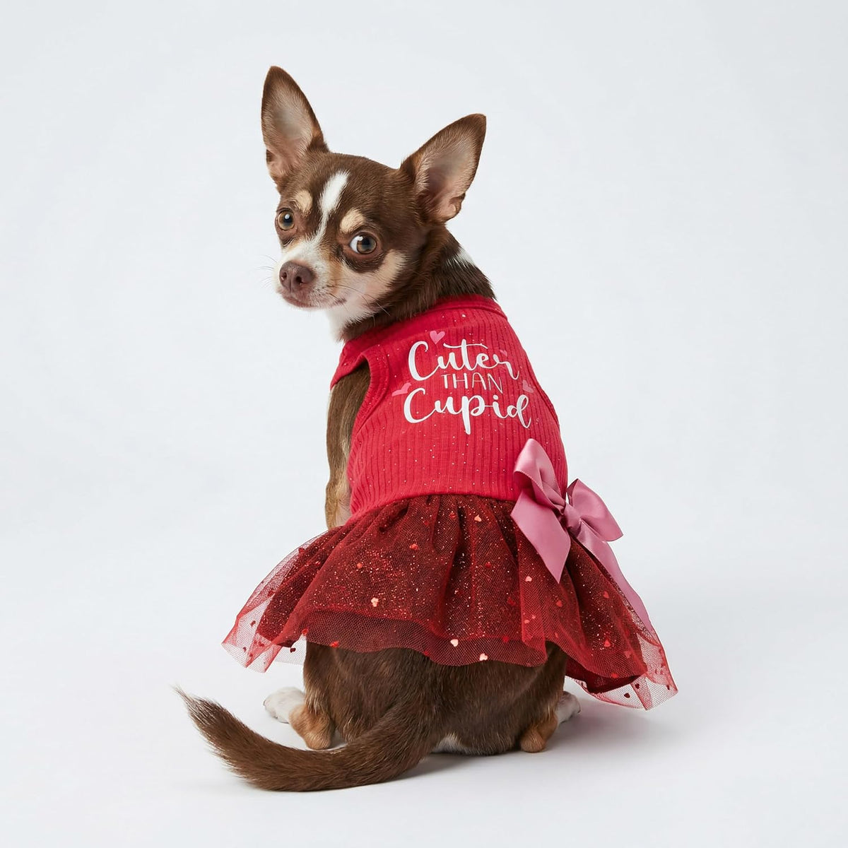 Fitwarm Halloween Skeleton Dog Dress - Large / Red - image 3