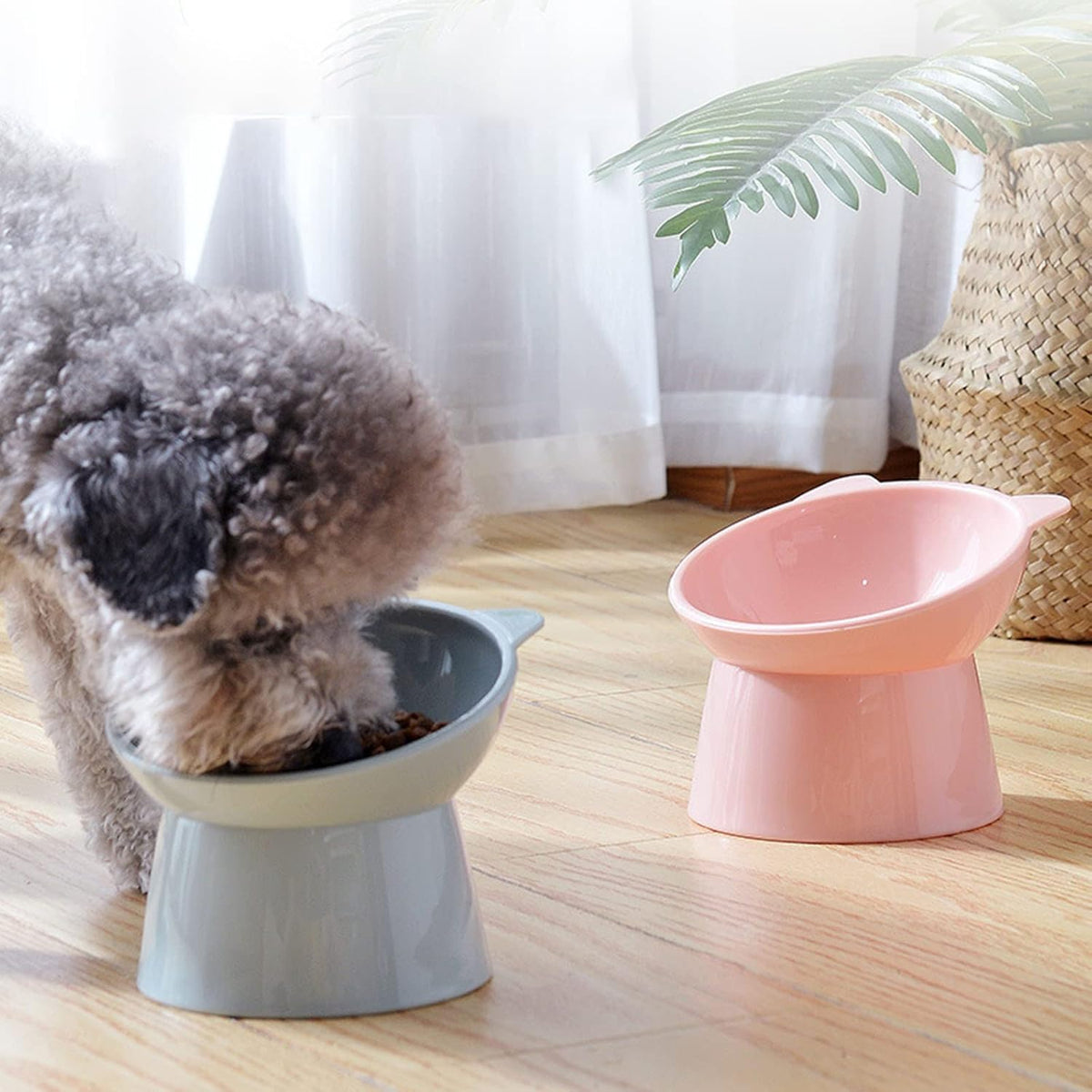 Tilted Cat Food Bowl, Whisker Friendly, Anti Vomiting, Slanted - Tall Cat Bowl-Blue - image 2