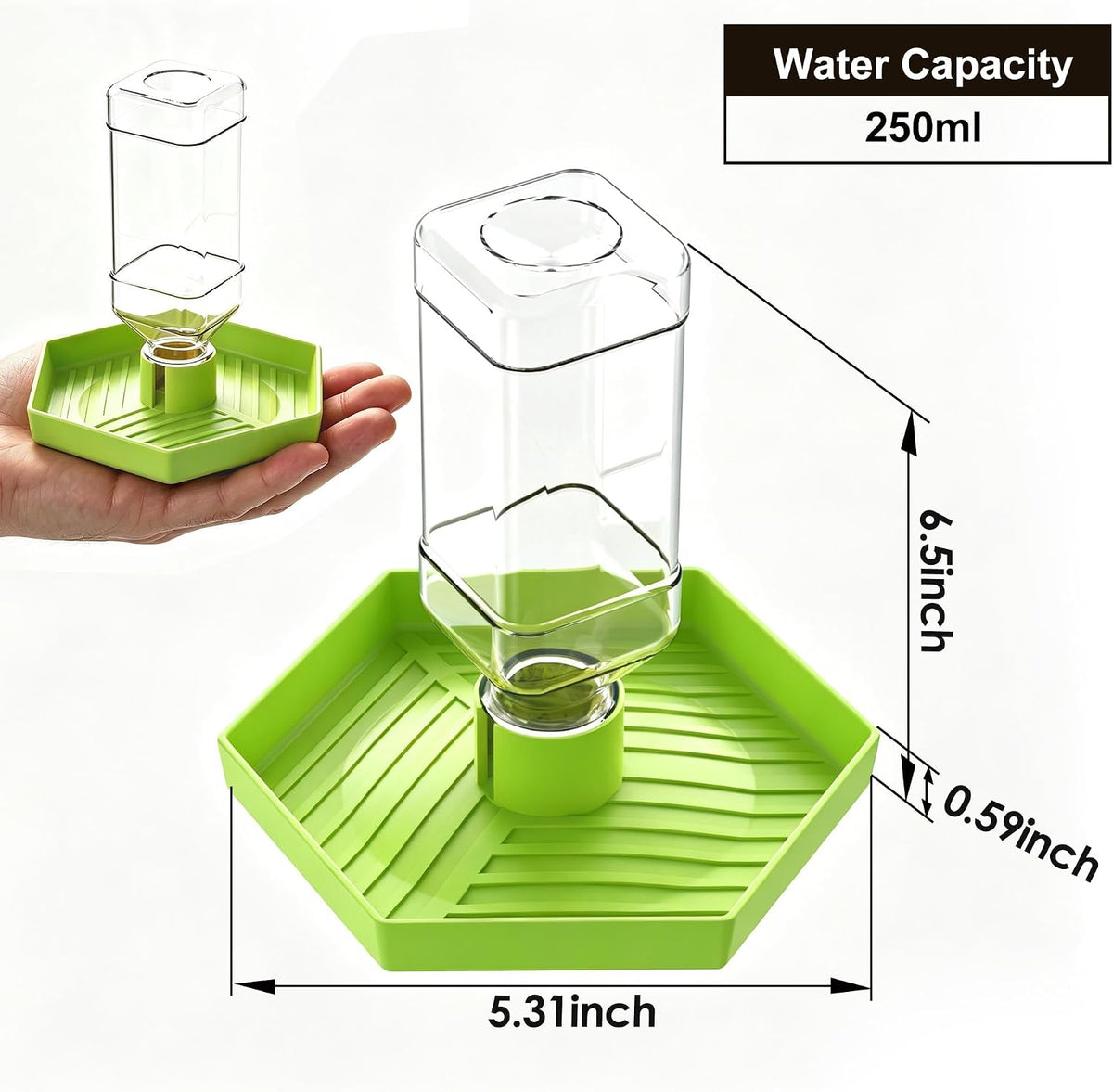 Reptile Water Dispenser Bowl for Bearded Dragon Tortoise – Essentials for Reptiles And Amphibians - Apple Green / L - image 2