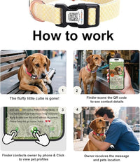 Dog Collar with Waterproof AirTag Holder & Anti-Lost QR Code, Cute Bling Warpping Adjustable Width for Small Medium Large Pet (Yellow, M)