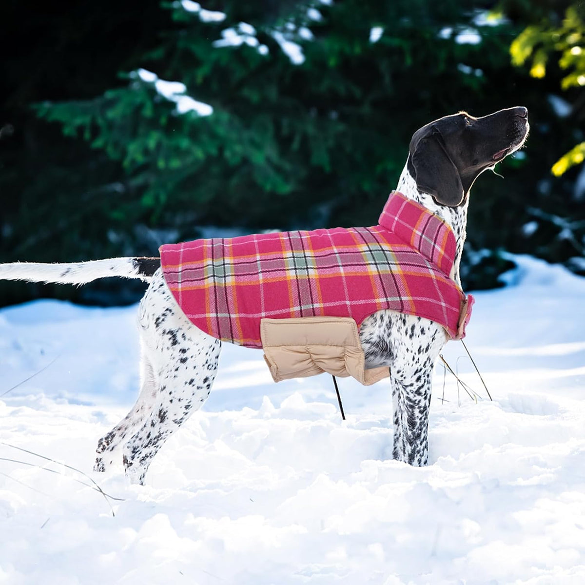 Kuoser Waterproof Dog Coat - Rose / Small (Pack of 1) - image 2