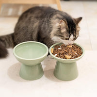 Extra Wide Elevated Ceramic 6.2" Shallow Cat Food Bowl – Essentials for Cats - Sage Green-Deeper - image 4